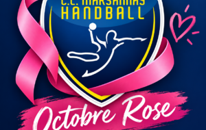 CL Marsannay Handball