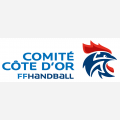 Comité21 Handball