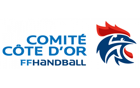 Comité21 Handball